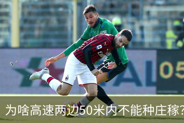 为啥高速两边50米内不能种庄稼？种出来的大米你可能不敢吃
