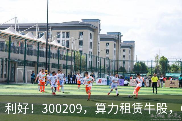 利好！300209，算力租赁牛股，Q3营收大增55倍