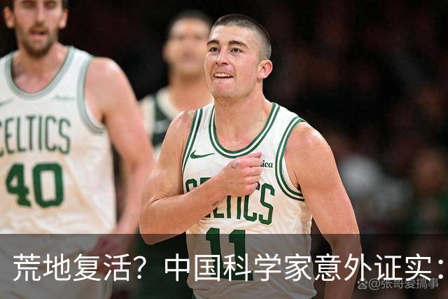 荒地复活？中国科学家意外证实：铺光伏板，竟然沙漠长出了草