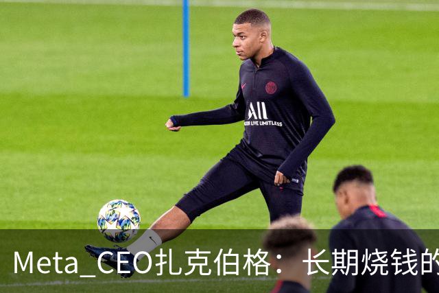 Meta CEO扎克伯格：长期烧钱的Muse和Reality Labs终于盈利在望